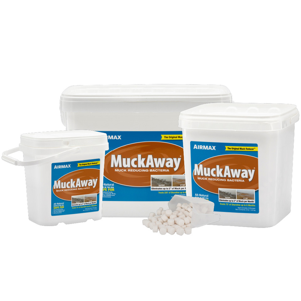 Holiday 15pc chocolate assortment