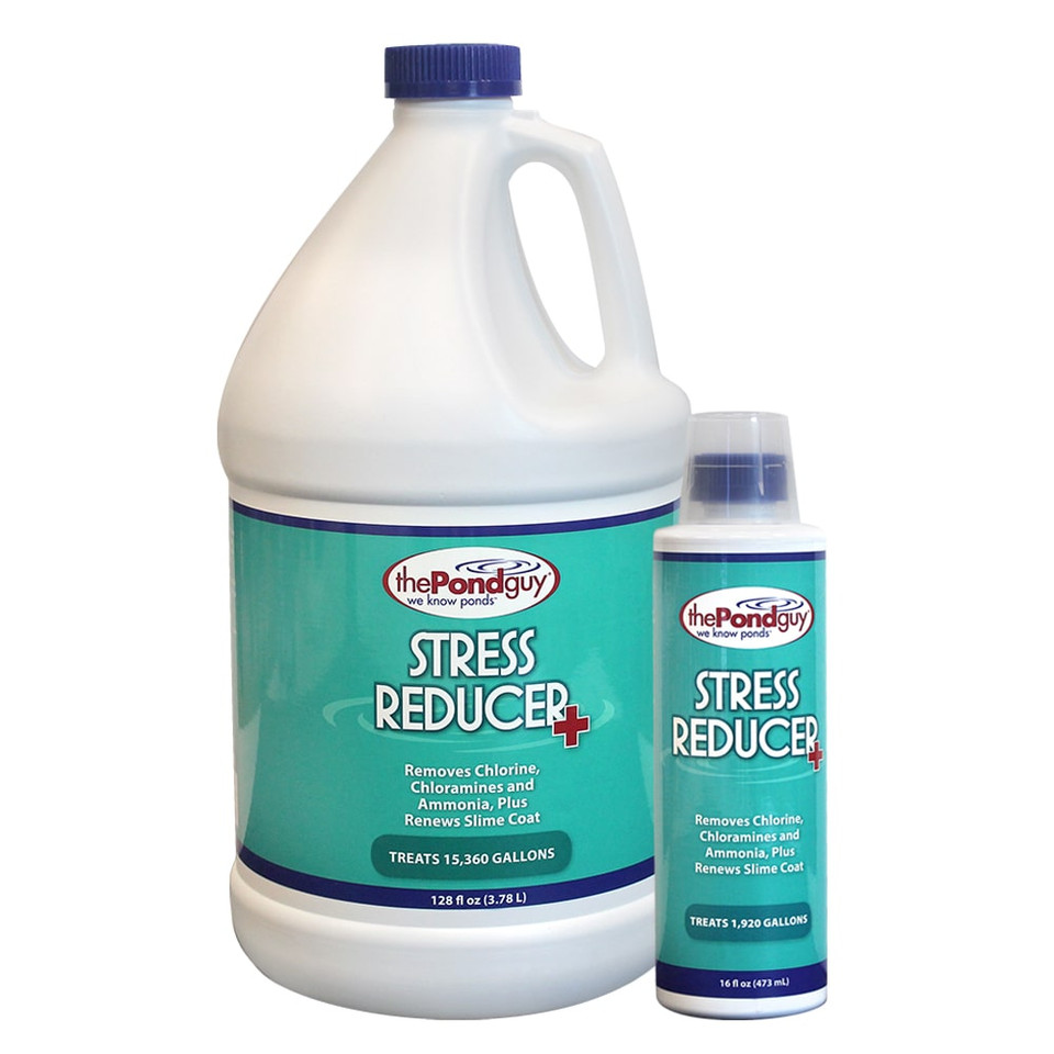 Holiday 15pc chocolate assortment