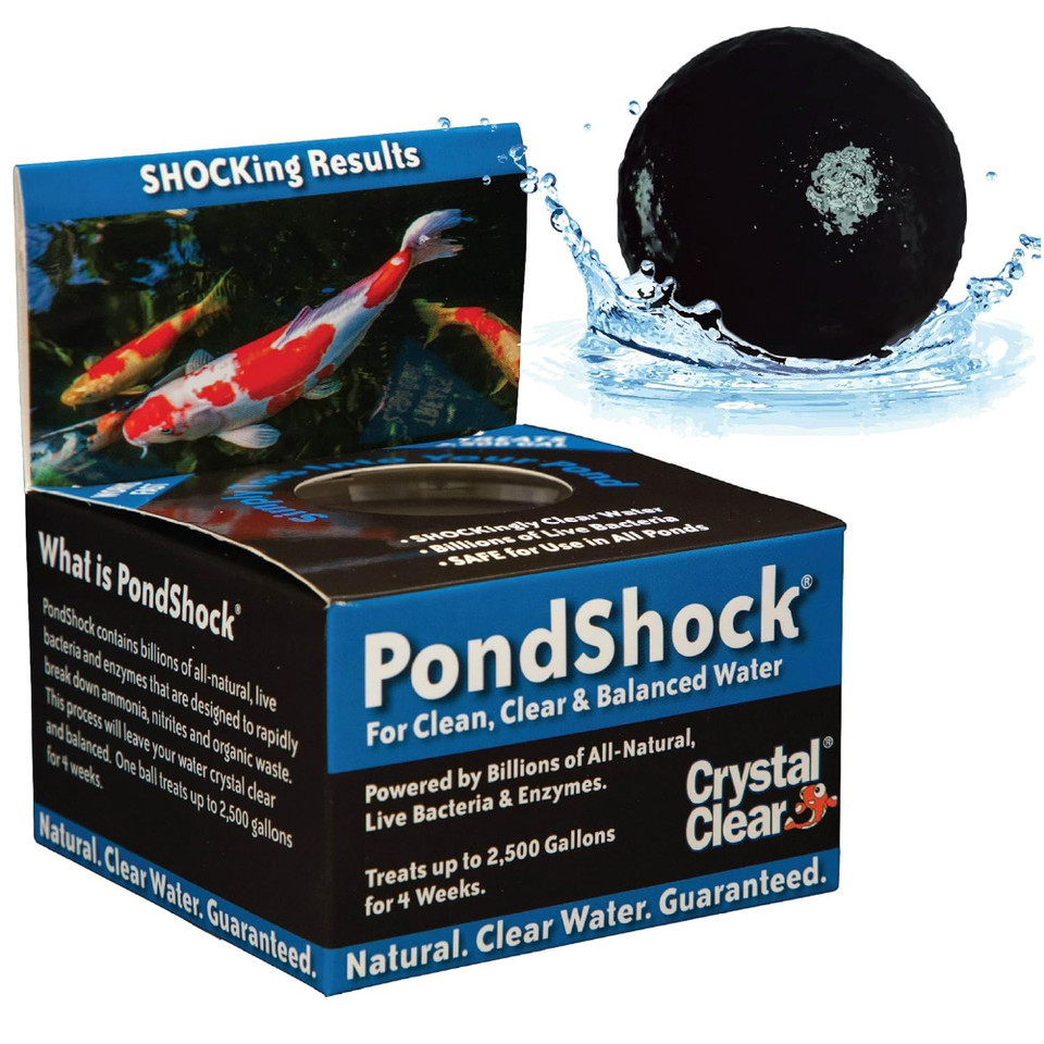 Holiday 15pc chocolate assortment