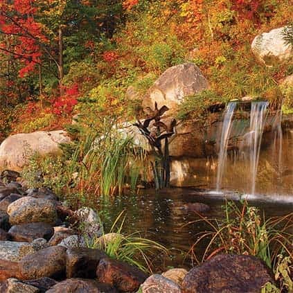 Seasonal Care & Maintenance