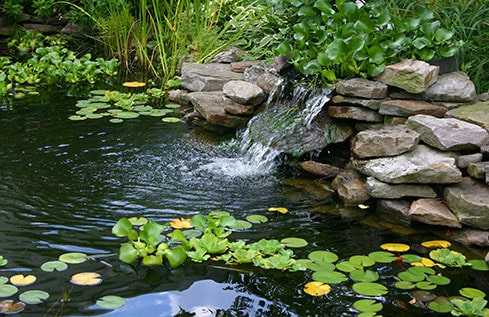 Shop Pond Pumps