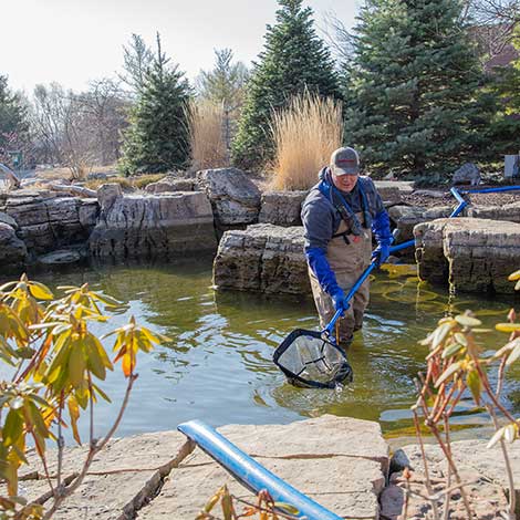 How to Drain a Pond, Learning Center