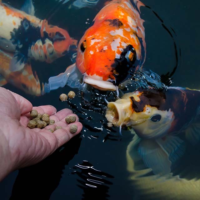 Shop Underwater Fishing Lights