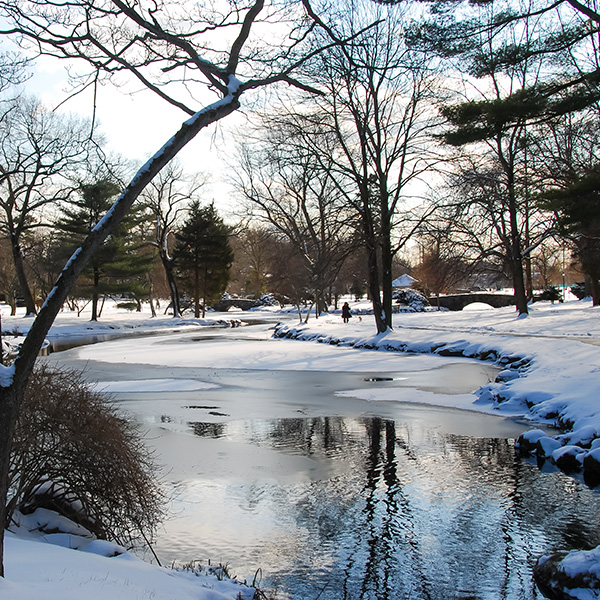 Learning Center Article - How long does it take for a pond to freeze solid? How does the freezing process work in large lakes? Learn about the fascinating world of frozen water here!