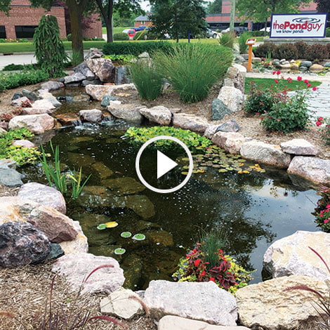 Learning Center Article - How long does it take for a pond to freeze solid? How does the freezing process work in large lakes? Learn about the fascinating world of frozen water here!