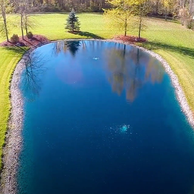 Shop Pond Dye