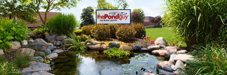 Most Valued Respected Name in Ponds The Pond Guy