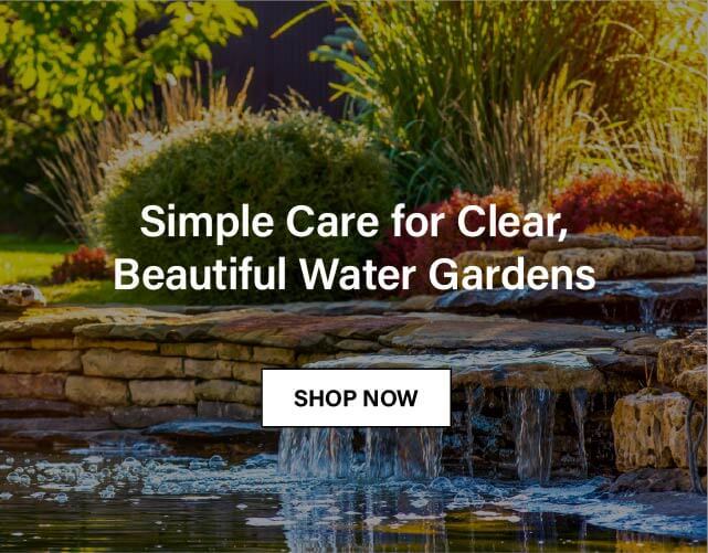 Simple Care for Clear, Beautiful Water Gardens