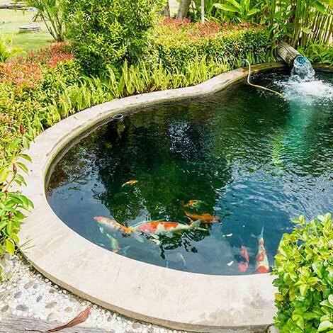 Water Garden
