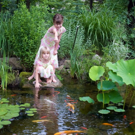 I would like to build a backyard pond. What do I need to know?