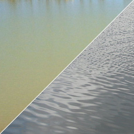 Why is my pond cloudy in the summer and clear in the winter?