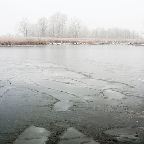 We had a couple of warm days. Is there anything I should be working on for the spring?