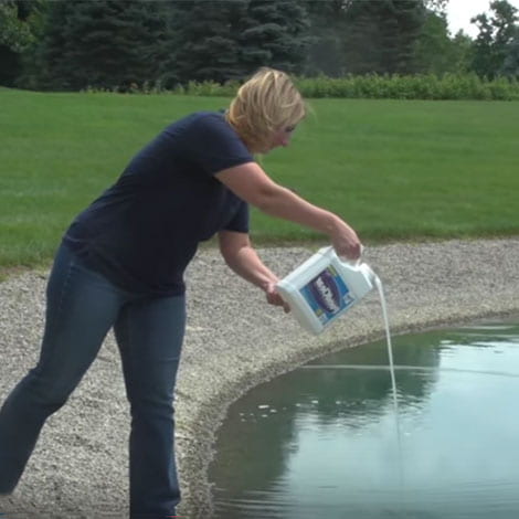 Do I need to use both bacteria and enzymes in my pond?