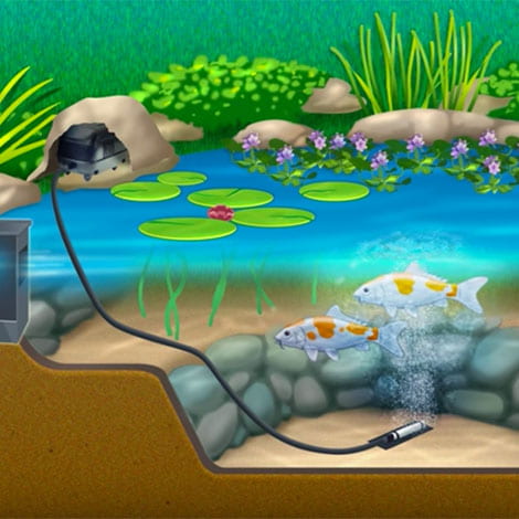 I'm starting my pond up for spring. Do I need to leave my aerator running?