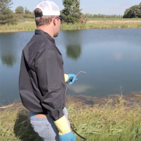 Does the type of algae and where it's growing determine what chemical is needed?