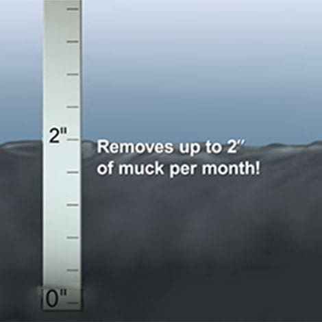 How Do I Use MuckAway Tablets?