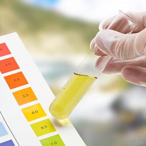 How to Lower pH in a Pond