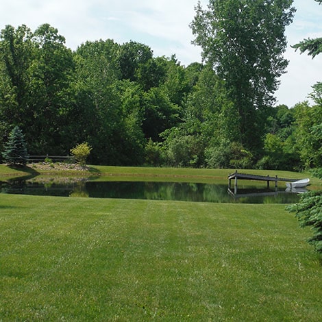 We just bought a house with a half-acre pond. Where do we start?