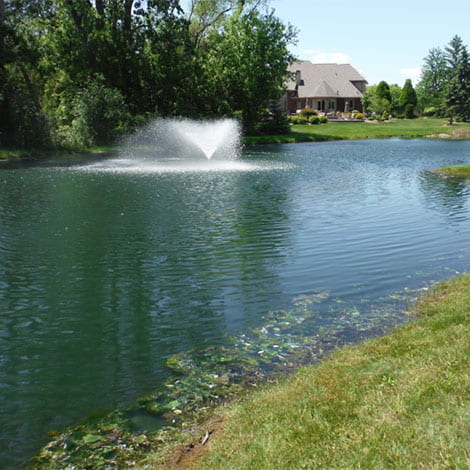 How do I control pond weeds that return after herbicidal treatments?