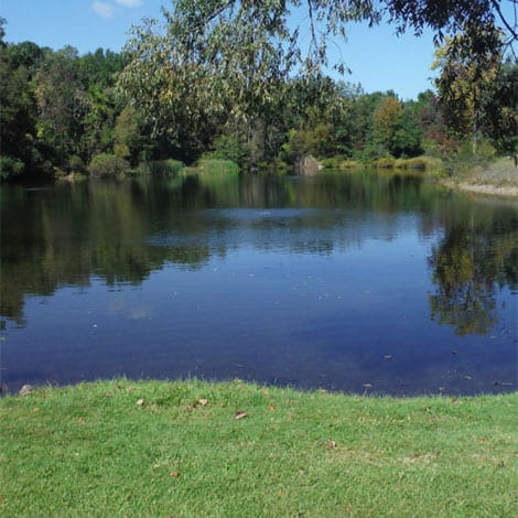 I'm buying a house with a half-acre pond. What do I need to know?