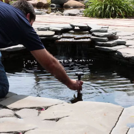 What items need to come out of my pond before winter?