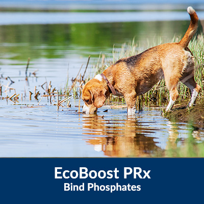 Phosphate Control Study With EcoBoost PRx