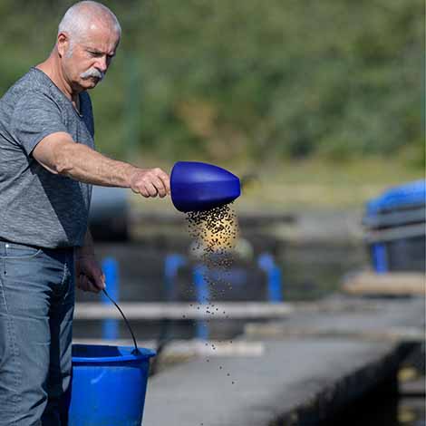 How Game Fish Find Food