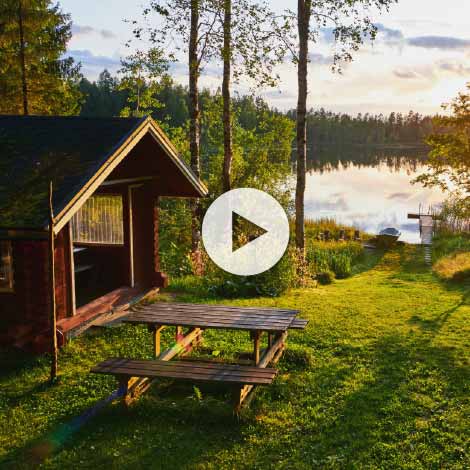 How to Get Rid of Lake Weeds and Muck