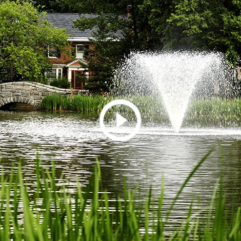 How to Choose a Fountain