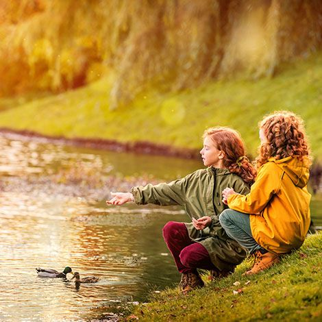 What Wild Animals Do Ponds Attract?