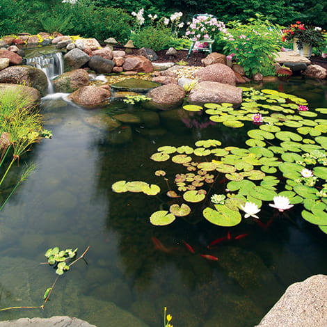 Which DIY Pond Kit Should I Choose?