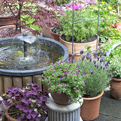 Do You Have Tips for Building a DIY Backyard Fountain Using a Kit?