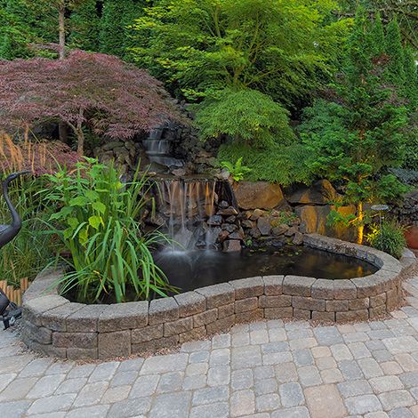 How Much Does It Cost to Build a Koi Pond?