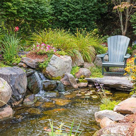 Aquascaping for Beginners