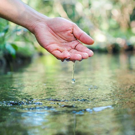 Mechanical and Biological Filtration Explained