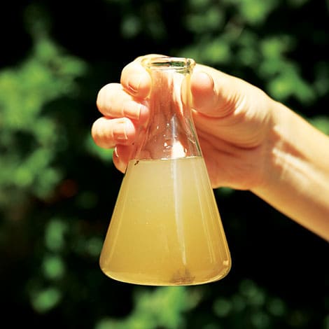 How Can I Do a Jar Test for Pond Water?