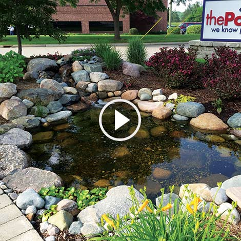 Why Aerate Your Water Garden