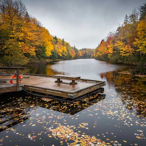 Keeping Leaves out of a Large Pond