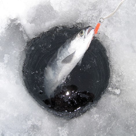 Ice Fishing on a Small Pond