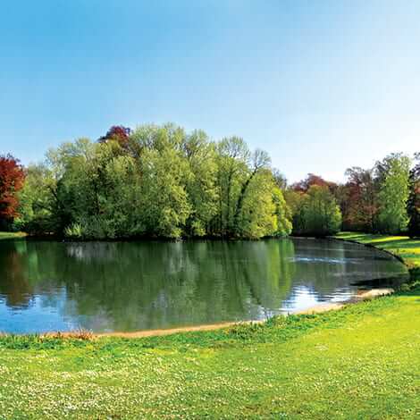 beautiful natural ponds