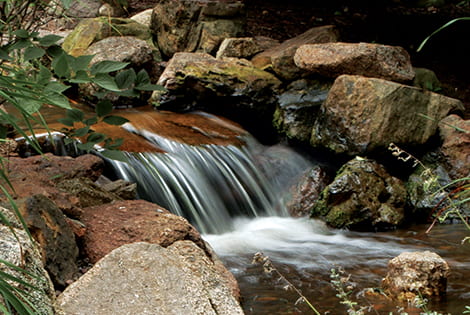 Waterfall Filters add Biological Filtration to Your Pond Along With a Beautiful Display