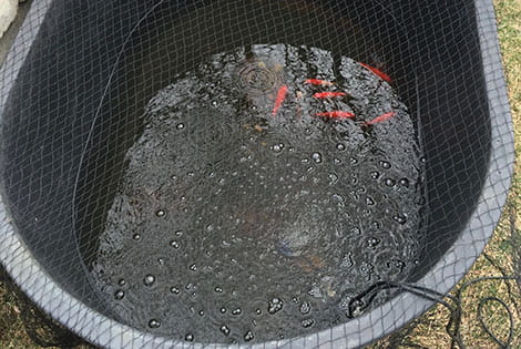 Prepare a Holding Tank