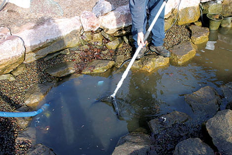 Remove Leave and Other Large Debris