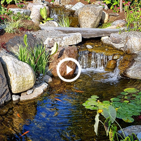 FL- Fish Pond & Water Garden Contractor