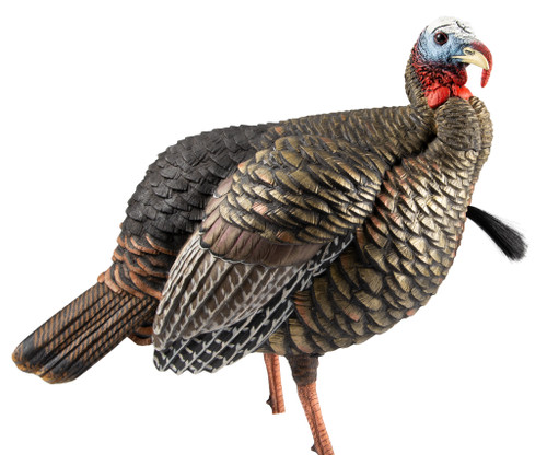 Avian X HDR Jake Turkey Decoy