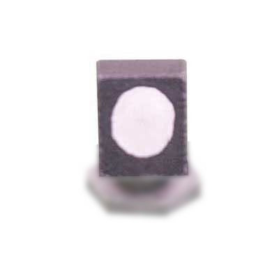 SIGHT POLY SCREW ON