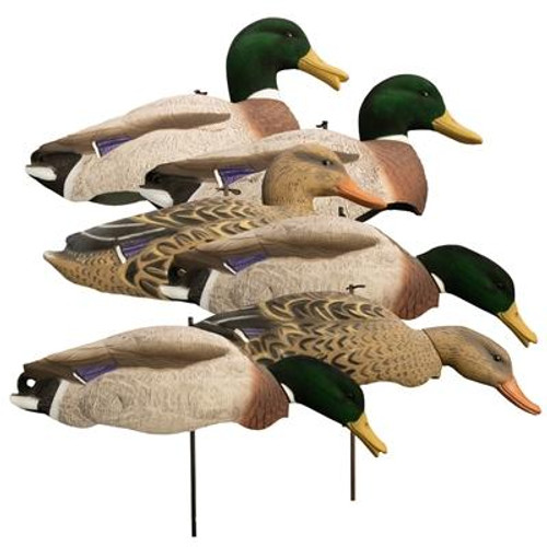 Higdon Magnum Full Form Flocked Head Mallard Shell Duck Decoy Polymer 6PK