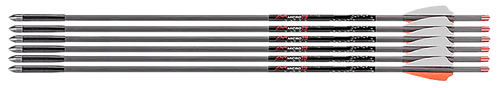 Axe AX10003 Bolts 19 Inch 6 Pack Gray Orange White