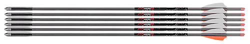 Axe AX10003 Bolts 19 Inch 6 Pack Gray Orange White