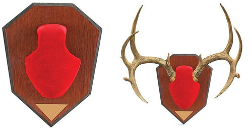 Allen Antler Mounting Kit Red Skull